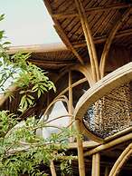 Cocoon Reserve