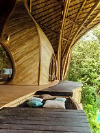 Cocoon Reserve