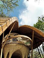Cocoon Reserve