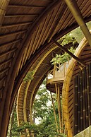 Cocoon Reserve