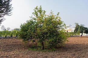 Vardhan Resorts