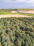 Pine Lodge - Kelling Heath Holiday Park - 20952
