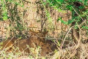 SAMBURU ELEPHANT LODGE