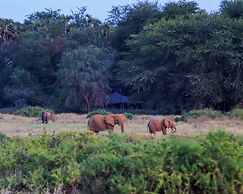 SAMBURU ELEPHANT LODGE