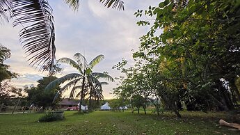 OneSeasonFarm Chiangsaen