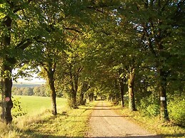 domaine de Drémont