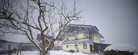 Apartment Wenger Leogang