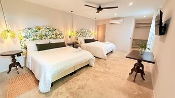 Casa Areca