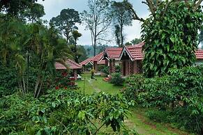 Coffee County Homestay