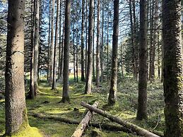 L'écrin de la forêt