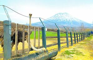 HILLS NISEKO 105