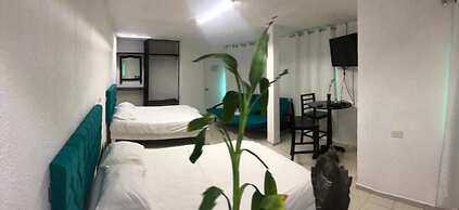 zyan Rooms