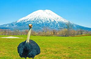 HILLS NISEKO 106