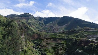 Emerald Cabin Dieng