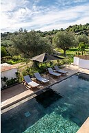 Villa Amethysta in Afandou
