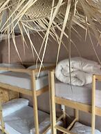 tayri surf house