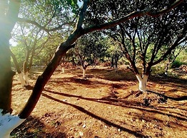 Prakriti Agro Farm Resort