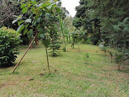 Kihingo cottages muranga