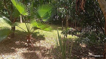 Kihingo cottages muranga
