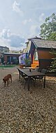 Pura Vida Downtown Tiny Houses