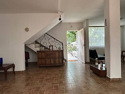 The Cats Nail House
