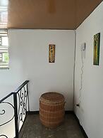 The Cats Nail House