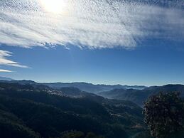 Pine Ville Shimla