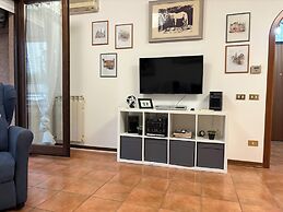 Marci's House