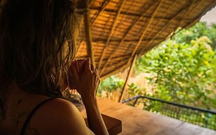 Bamboo Jungle Villas