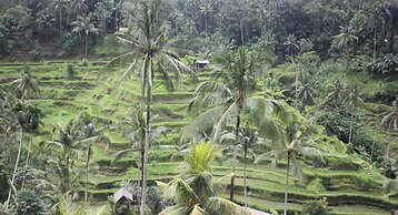 Tusantha Ubud A Trishula Collection