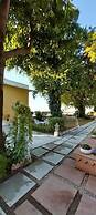 Junia Bagh A Lakeside Homestay
