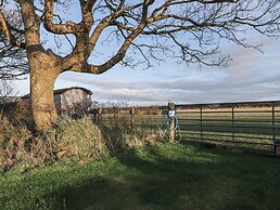 Rhosgranog Shepherds Hut