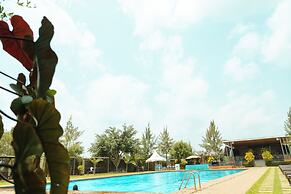 Extreme Adventure Park