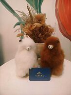 HOTEL ALTARA SELECT