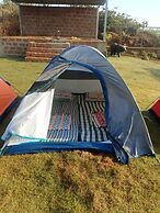 Bison Farm Stay