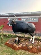 Bison Farm Stay