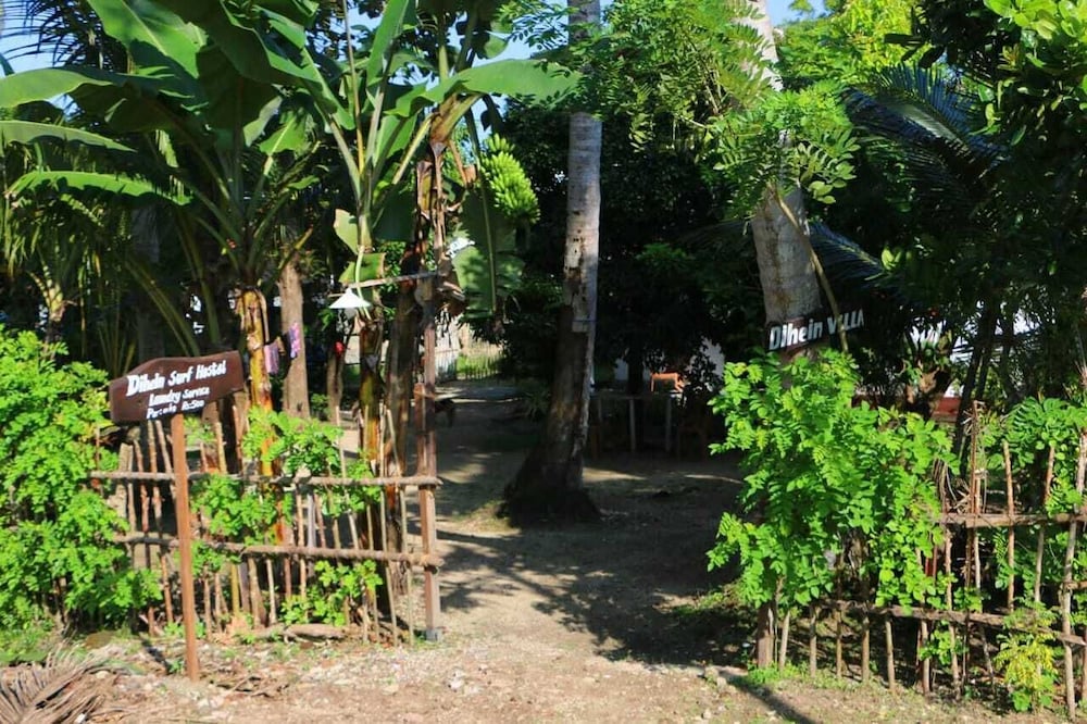 Dihein surf Hostel