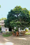 Dihein surf Hostel