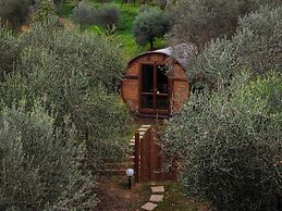 LE BOTTI FIORENTINE