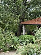 Kuća Zelenog Sna