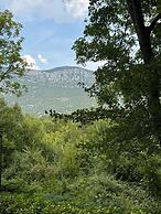 Kuća Zelenog Sna