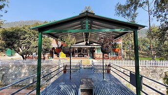 Nest and Hives Amritpur