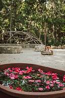 Casa Arkaana Eco Retreat