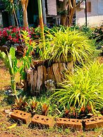 Phakphing Erawan Homestay