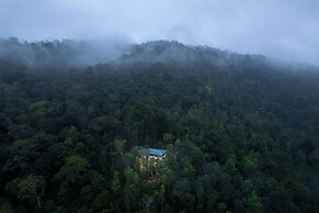 Royal Woods Coorg