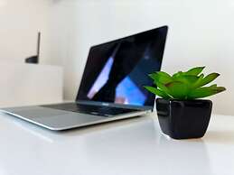 Luxury Brand New Studio