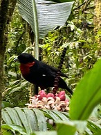 Kumanday Lodge