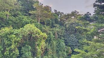 Mountain View Hostel - Krabi Airport