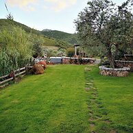 IL GIARDINO DI DANIELA