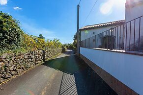 Vigna Dell'Etna